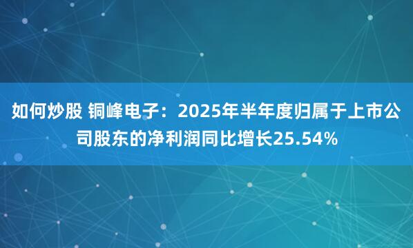 如何炒股 铜峰电子：2025年半年度归属于上市公司股东的净利润同比增长25.54%