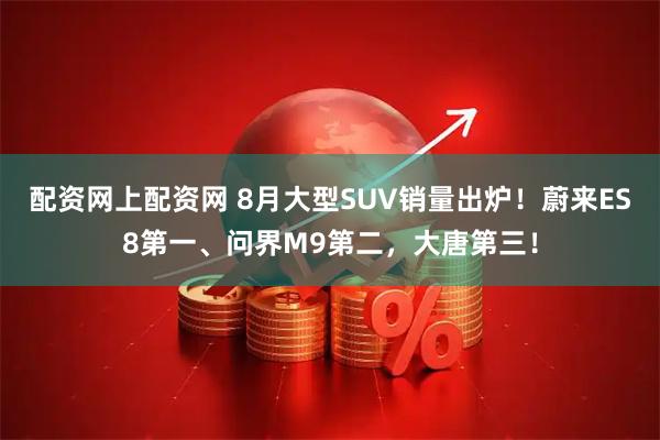 配资网上配资网 8月大型SUV销量出炉！蔚来ES8第一、问界M9第二，大唐第三！